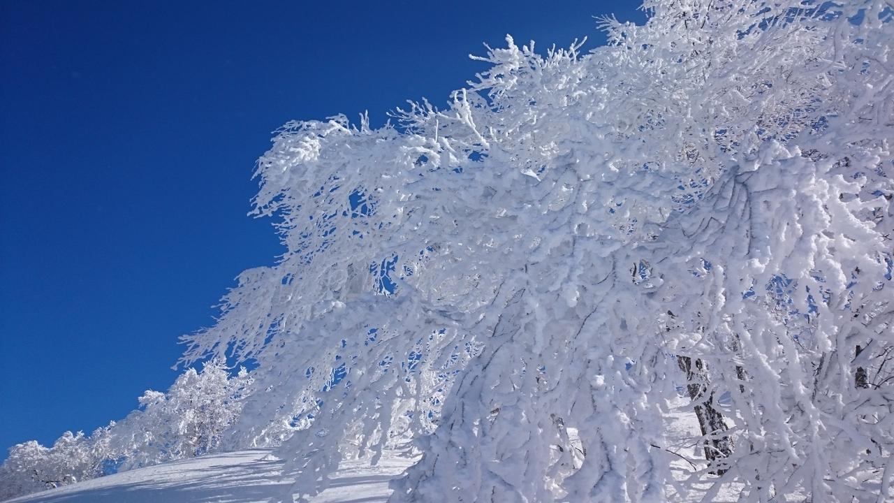 Nozawa Dream Nozawaonsen Exterior foto
