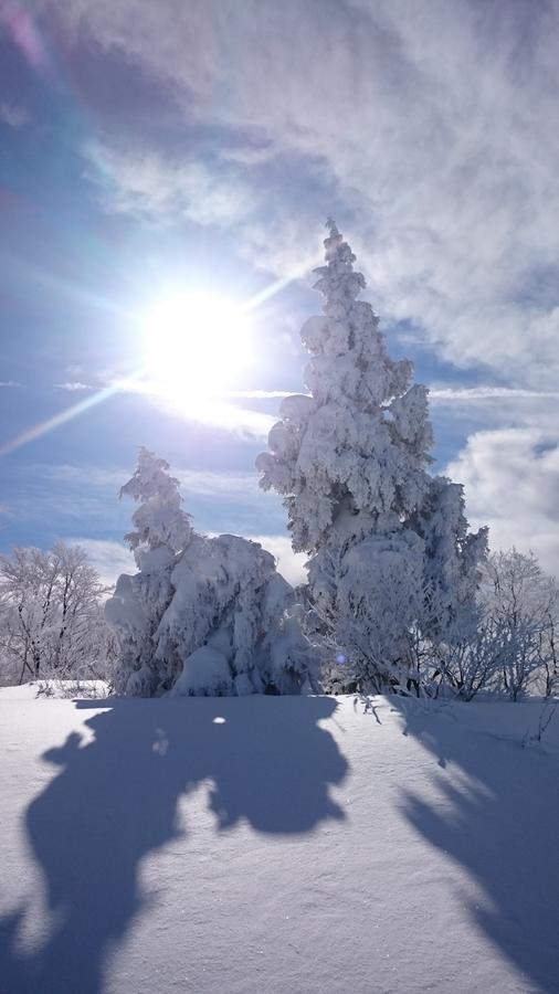 Nozawa Dream Nozawaonsen Exterior foto